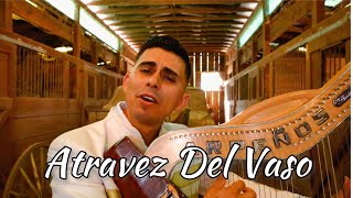 Atravez Del Vaso - Arpeños 2019 ( Video Oficial)