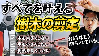 【木を小さくしたい】樹形を自在にコントロールする剪定