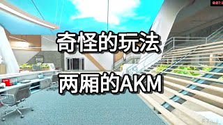 逃离塔科夫奇怪的玩法 两厢的AKM【如风SN】