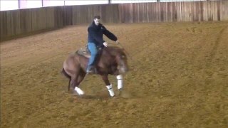 NRHA OPEN FUTURITY CHAMPION SHINE N SPOOK AT 2 YEARS OF AGE