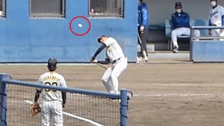 めっちゃ上手いキャッチャーフライを上げる阪神二軍コーチ（2023年3月12日）