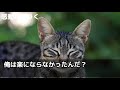 【感動する話】多言語がペラペラなのを隠して生きる俺。ある日、親友の結婚式で東大卒の美人社長令嬢が中卒貧乏の俺に超難問を出題「これ解けたら何でもしてあげるw」➡︎俺が即答した結果ｗ【いい話】【朗読】