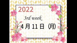 やいづTV 生配信　2022.04.11