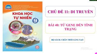 KHTN 9 Bài 40: Từ gene đến tính trạng - KHTN 9- Chân trời sáng tạo