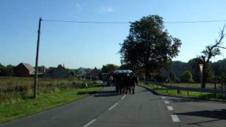 Stüdenitzer Reitjagd 2011