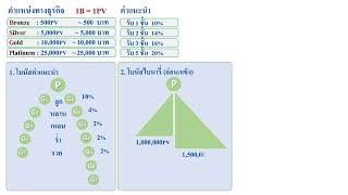 COMMON​ CORPORATION​ สรุปแผนการตลาดสั้นๆ ไม่เกิน 5 นาที​