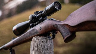 TOP 10 Best .22LR Rifles: The Most Accurate .22 Rifles 2023