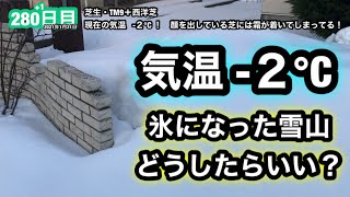 【芝生壊滅・TM9＋西洋芝】281日目　現在の気温 –２℃！　顔を出している芝には霜がついてしまっている！