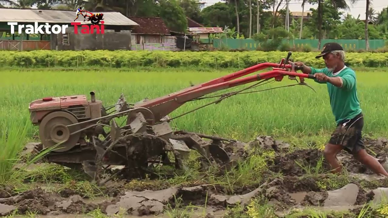 Tutorial TRAKTOR BAJAK SAWAH Lahan Bedengan -Teknik Bajak Dan ...