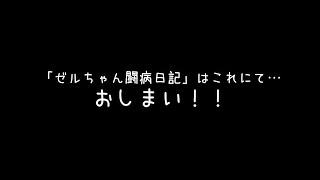 肥満細胞腫の治療と抜糸を終えた大型犬