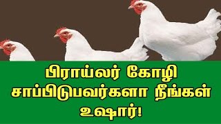 பிராய்லர் கோழி சாப்பிடுபவர்களா நீங்கள் உஷார்!