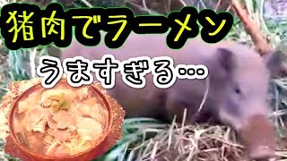 絶品！猟師飯『雪山で食べる猪ラーメンが美味すぎる』アウトドア＊サバイバル