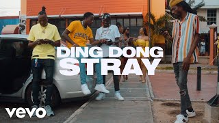 Ding Dong - Stray Official Video