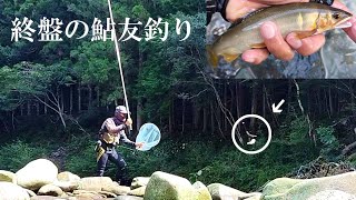 Ayu fishing is not over yet / Koza River, Wakayama Prefecture