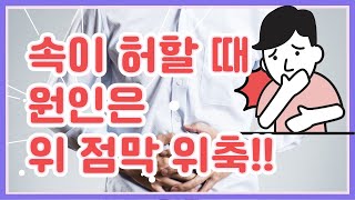 속이 허할때 위축 위염을 치료하세요