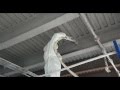 Incredible In Your Face HD Video of Fire Proofing with Grace Monokote Fireproofing