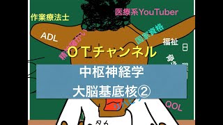 中枢神経学（回路）　11時間目「作業療法士（OT）の為の国家試験対策」