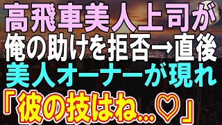 【感動】俺が海外大手IT企業から惜しまれつつ転職したことを知らない美人上司「私のプログラミングを見て盗みなｗ」→オーナー「天才プログラマーがうちに来てくれて嬉しいよ！」上司「え？」【いい話】【朗読