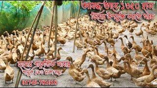 আবদ্ধভাবে ১৩৫০ টি হাঁস ডিমের উপযুক্ত করতে কি পরিমান খরচ হয় ।