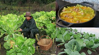 COMIDA SIMPLES NA SERRA-ADUBAR ÁRVORES DE FRUTO E CUIDAR DA ESTUFA!