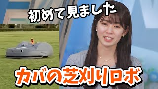 【青原桃香】カバっぽく見える芝刈りロボを見た桃ちゃん上手いこと言う【ウェザーニュース切り抜き】