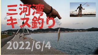 三河湾 キス釣り2022/6/4 西尾市