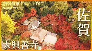 つつじともみじの古刹　大興善寺【JNN紅葉ドローンDIG】｜TBS NEWS DIG