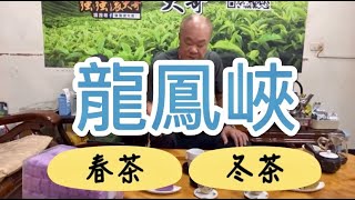 【老編阿胖】好茶不藏私🔥該出手就出手🔥