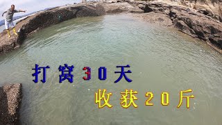 【兄弟趕海】打窝30天连撒200斤猪血3个牛肺的600平巨坑，收获20斤海货，值了