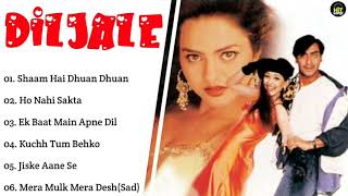 Dil Jale Movie All Songs~Ajay Devgan~Sonali Bendre~Madhoo~Hits Song's