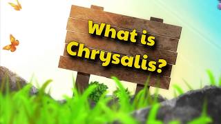 Chrysalis Promotional Video