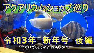 【アクアリウムショップ巡り】フィッシュマスターオカ後編　転覆病治療編