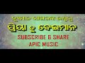 priya tu beiman full song humane sagar odia new sad song kumar tutu apic music