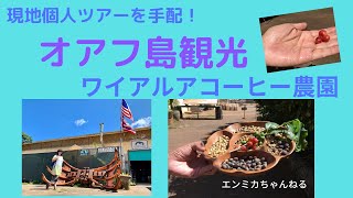 ハワイ旅行記2019_ハワイ現地ツアーはファミリーならプライベートできまり！ワイアルアコーヒー農園でコーヒーチェリー【エンミカちゃんねる】