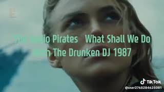 The Radio Pirates - What Shall We Do With The Drunken D.J.