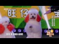 《cctv家庭幽默大赛 第二季》 20160619 精编版 少年夫妻老来伴 更有萌娃萌宠来相伴 cctv