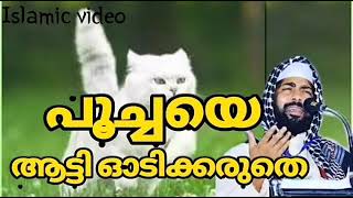 പൂച്ചയെ ആട്ടി ഓടിക്കരുതെ.. | ഉസ്താദ് സിറാജുദ്ദീൻ ഖാസിമി.