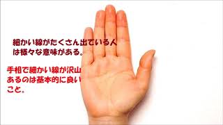 細かい線がたくさん出ている人は様々な意味を持っている。　 手相判断　はあとふる