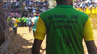 part 3 லால்குடியில் ஜல்லிக்கட்டு Jallikattu competition in Lalgudi