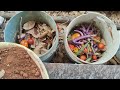 how to make compost using vegetables.పాడైన కూరగాయలతో కంపోస్టింగ్ చేశాను.