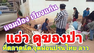 แอ่ว ดูของป่า ตลาดนัดจุดผ่อนปรน ไทย ลาว แจมป๋อง บ้านด่าน สปป.ลาว