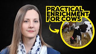 Dr. Rebecca Meagher: Improving Dairy Cattle Welfare