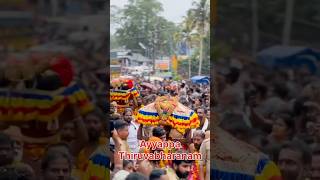 Sabarimala Ayyappa Thiruvabharanam | Makarajyothi Vilakku | Ponnambala Medu Makarajyothi