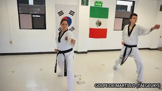 DEFENSAS Y GOLPES PARA POOMSAE