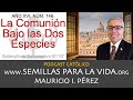 La Comunión Bajo las Dos Especies | Redemptionis Sacramentum 97-107