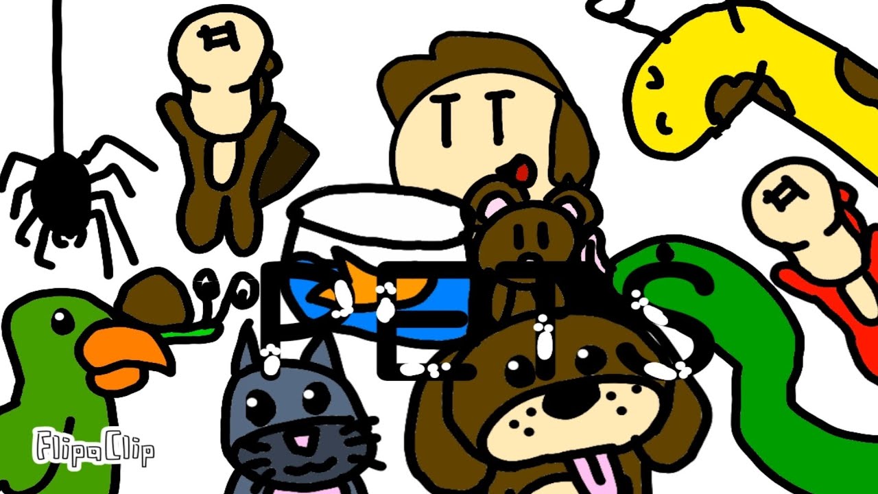 Pets Youtube