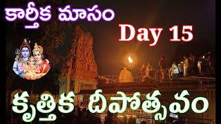 కృత్తిక దీపోత్సవం @rapursivalayam కార్తీక మాసం  Day 15 #subramanyaswamysongs #omnamahshivaya #om