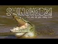 SHINGWEDZI Rest Camp & Game Viewing Review | Kruger National Park