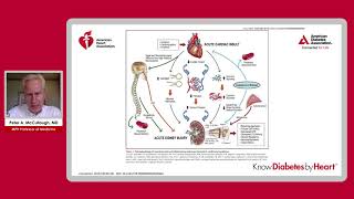 How Chronic Kidney Disease in Type 2 Diabetes Contributes to Cardiovascular Disease