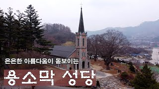 은은한 아름다움이 돋보이는 \